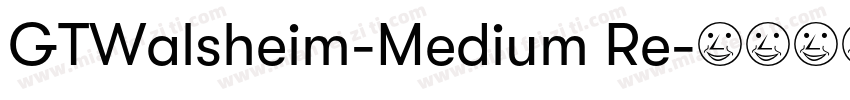 GTWalsheim-Medium Re字体转换